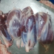 母猪龟腱
