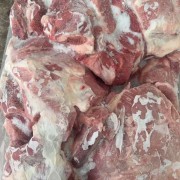 母猪2号肉