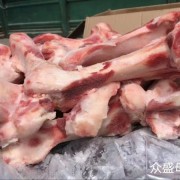母猪前腿骨
