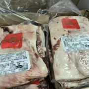 1352后胸肥牛