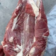龟腱带金钱腱