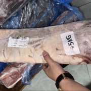 150谷饲西冷