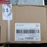 26羔羊前四分体