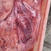 饲料猪肺