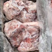 前后腿