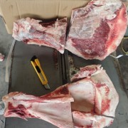 牛力骨，牛扇子骨