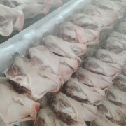 无耳头