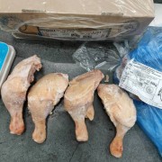 巴西2913全腿