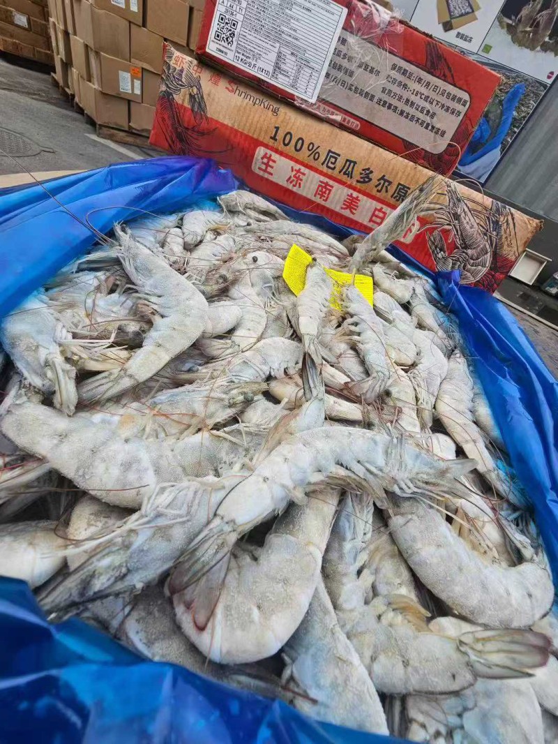 盐冻大板虾 虾中煌（40-50）