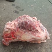 肥猪去耳劈半猪头