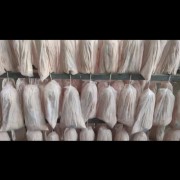 母猪吊挂板油