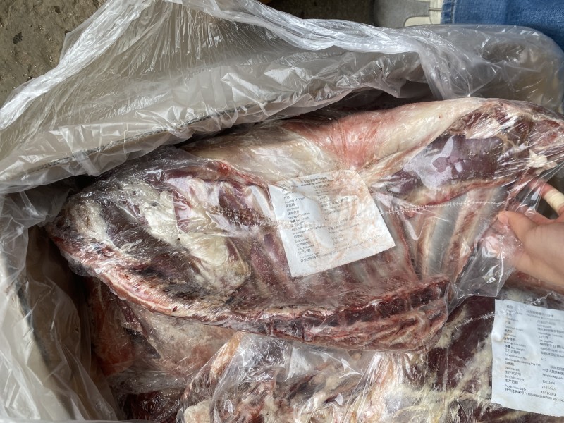 羊中码六分体 612厂