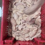 标猪生冻大肠头