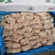 西班牙709舌尖