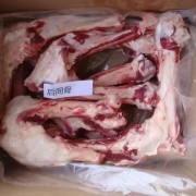 国产母猪后筒骨