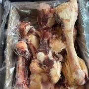 26厂腿骨
