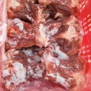 肥猪多肉扇骨