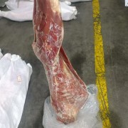 山羊胴体