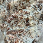 原切羊肉卷剩料
