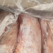 三级中龄鹅