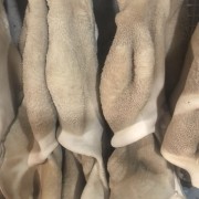 牛肚