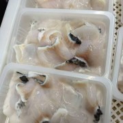 巴沙鱼