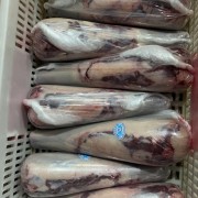 牛舌