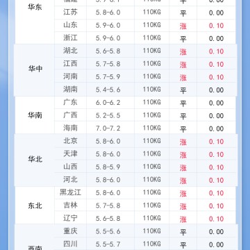 2025年11月19日 明日最新猪价！