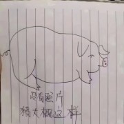 126猪头