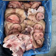 猪面具猪鼻子拱嘴