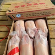 新疆白条鸭（黄）