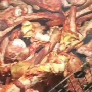 马棒骨