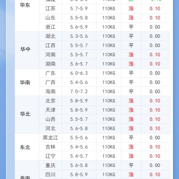 2025年12月11日 明日最新猪价！