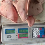 猪耳
