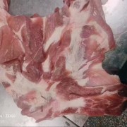 肥猪去皮前上肉
