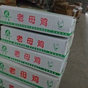 广星老母鸡清真