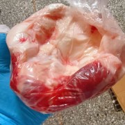 国产大窝骨