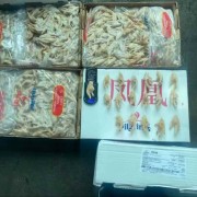 美国184熟凤爪