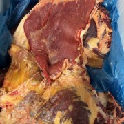 牛前腿肉
