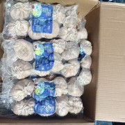 羊包肉支持样品