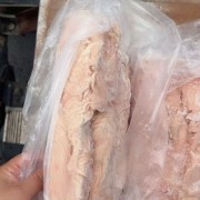 大肠头支持样品