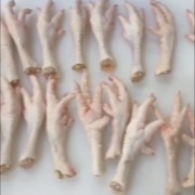 大老母鸡爪