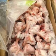 3237前腿骨
