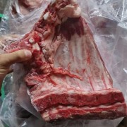 母猪去颈前排