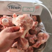 338前腿骨