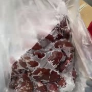 肥猪一级腰子