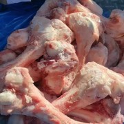 332后腿骨