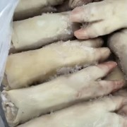 母猪一二级混蹄