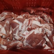 肥猪正28
