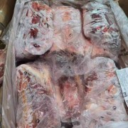 51腰脊排鞍背